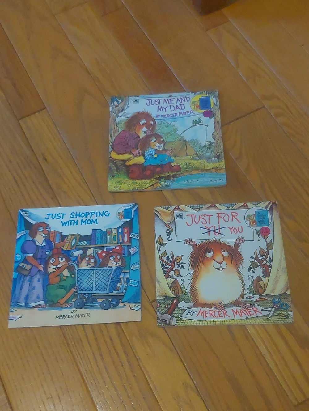 Set Of 3 Little Critter Books By Mercer Mayer